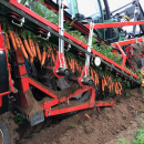 5335 Dewulf P3K carrot harvester with elevator