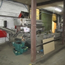 3167 Record flow pack for trays  with NEWTEC multi weigher