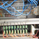 5346 Newtec 2009G computer weigher for carrots