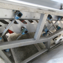5416 Sormac PWV Step Flow feeder for carrot
