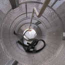 5418 EMVE Potato washer WE DW 1200 
