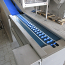 5422 Tenrit plus C16 carrot peeling line with top and tail