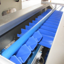 5422 Tenrit plus C16 carrot peeling line with top and tail