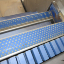 5422 Tenrit plus C16 carrot peeling line with top and tail