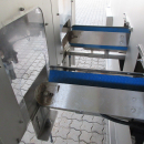 5422 Tenrit plus C16 carrot peeling line with top and tail