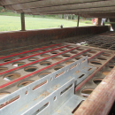 5426 Schouten onion sorter combi with inspection etc