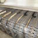5443 Newtec celox optical sorter for carrots