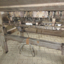 5443 Newtec celox optical sorter for carrots
