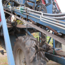 5499 Asa-Lift T-100 DF carrot harvester with elevator