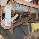 5499 Asa-Lift T-100 DF carrot harvester with elevator