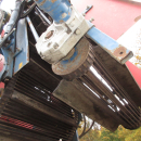 5499 Asa-Lift T-100 DF carrot harvester with elevator