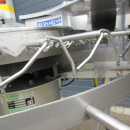 5525 Besnard asparagus washer / grader