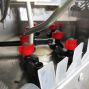 5525 Besnard asparagus washer / grader