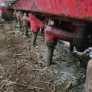 5597 Lely power harrow 3m