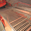 5611 Grimme SE75-40 potato harvester