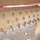 5633 Simon M165 bed cultivator 