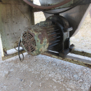 5637 Washer for potato and vegetables