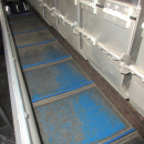 5655 Newtec 2009XB weigher for carrots and potato
