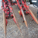 5662 Dewulf GKIIS carrot harvester 2 row with elevator