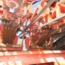 5662 Dewulf GKIIS carrot harvester 2 row with elevator