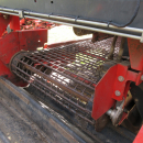 5662 Dewulf GKIIS carrot harvester 2 row with elevator