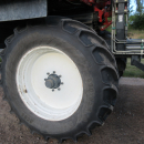 5662 Dewulf GKIIS carrot harvester 2 row with elevator