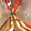 5662 Dewulf GKIIS carrot harvester 2 row with elevator
