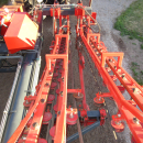 5662 Dewulf GKIIS carrot harvester 2 row with elevator