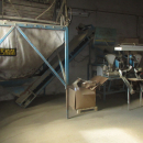5706 Skals potato grading line