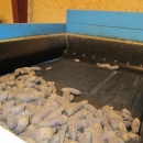 3370 Newtec 2009G +Gillenkirch+EMVE weigher and pack