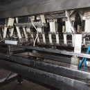 5727 Newtec 2009G Wiegemaschine für Möhren