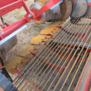 5734 Kverneland Underhaug UN2600 potato harvester