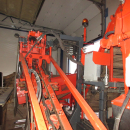 5739 Dewulf GBC carrot harvester 1 row with bunker