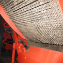 5739 Dewulf GBC carrot harvester 1 row with bunker
