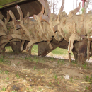 5796 Baselier cultivator 4x75 cm