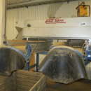 5802 Ekomatic potato sorting line
