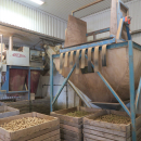 5802 Ekomatic potato sorting line