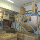 5802 Ekomatic potato sorting line