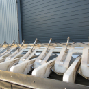 5811 Newtec 2009XB linear weigher