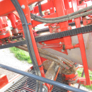 5813 Dewulf GBC carrot harvester 1 row with bunker