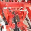 5813 Dewulf GBC carrot harvester 1 row with bunker