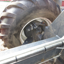 5813 Dewulf GBC carrot harvester 1 row with bunker