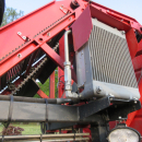 5813 Dewulf GBC carrot harvester 1 row with bunker