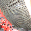 5813 Dewulf GBC carrot harvester 1 row with bunker