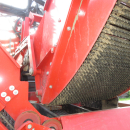 5813 Dewulf GBC carrot harvester 1 row with bunker