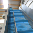 5846 EMVE automatic weigher for peeled products