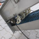 5846 EMVE automatic weigher for peeled products