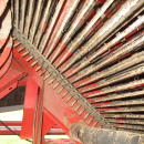 5869 Grimme SE 75-30 potato harvester