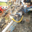 5889 Asa-Lift carrot harvester 2 row with elevator