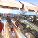 5889 Asa-Lift carrot harvester 2 row with elevator